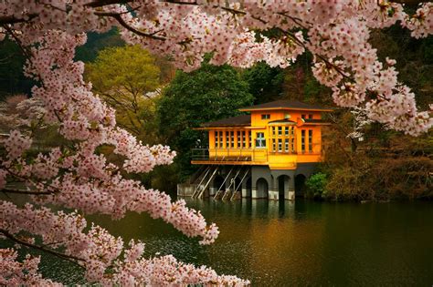 Aizuwakamatsu Burg, Fukushima, Japan, Kirsche Blumen, Park 1920x1440 HD ...