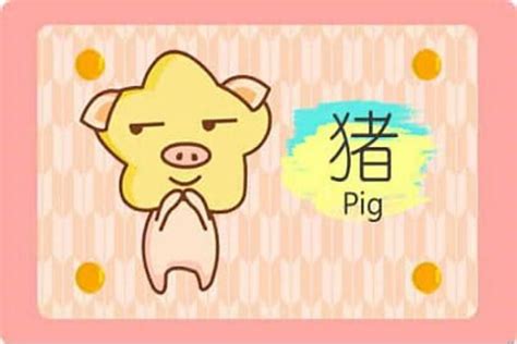 2019年猪年农历小年出生的女宝宝结合生肖起名字-周易起名-国学梦