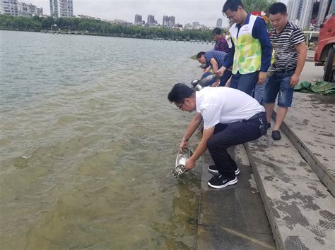 南昌县开展渔业资源增殖放流活动
