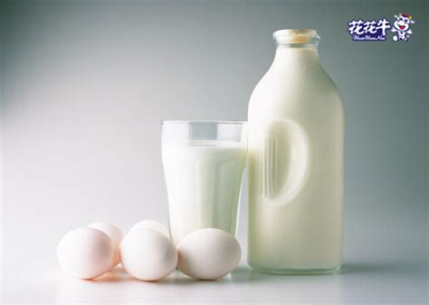 牛奶和酸奶，哪个营养价值更高？多数人不知，这回讲明白了 - 知乎