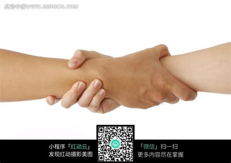 互抓手腕的两只手图片免费下载_红动中国