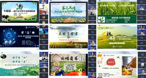 黑龙江日报：4万个5G基站赋能龙江千行百业_手机新浪网