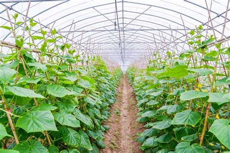 庄浪县发布2020年度家庭农场认定名单_现代农业产业规划 - 前瞻产业研究院