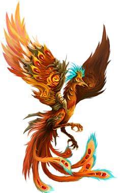 重明鸟图片