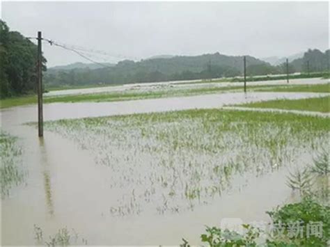 暴雨致公路塌方农田被淹