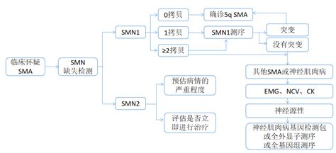 浅谈SMA分子诊断市场 - 小桔灯网 - IIVD.NET