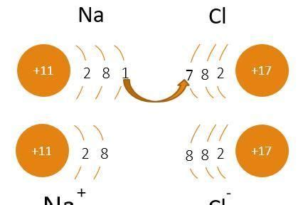 初中化学原子结构示意图与离子结构示意图试题_优题课