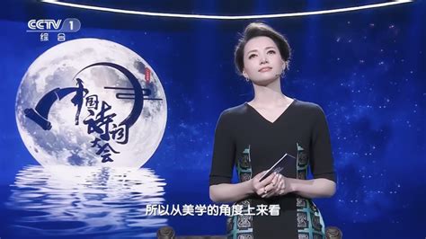 中国诗词大会第一季_360百科