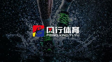 南京风行体育文化传播公司LOGO-logo11设计网