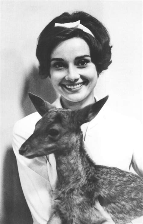 奥黛丽·赫本和她的鹿Pippin [14P]