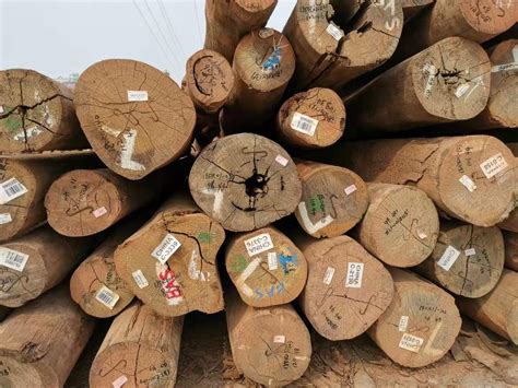 中国木材加工行业经营现状及发展战略研究报告 - 知乎