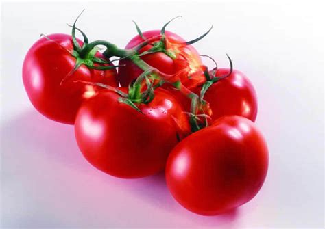 新鲜的西红柿素材-高清图片-摄影照片-寻图免费打包下载