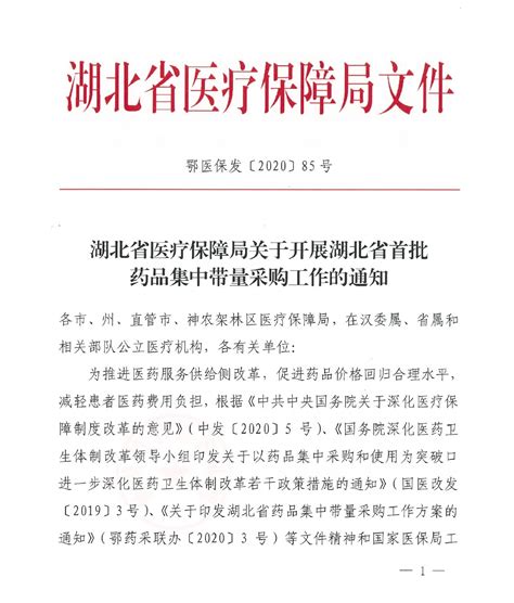 华招医药网--2020年湖北省医疗保障局关于开展湖北省首批药品集中带量采购工作的通知