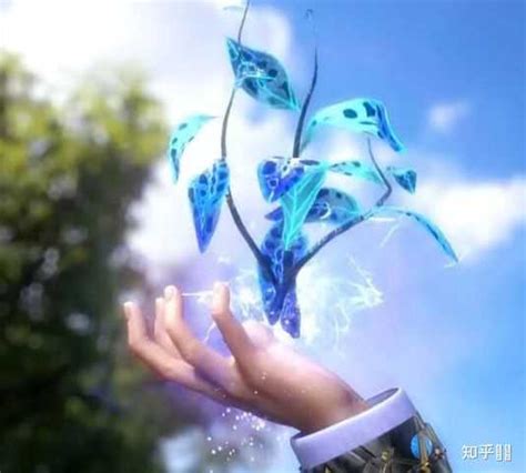 蓝银草13级图片