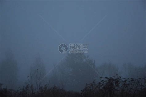 在森林里过夜后的晨雾高清图片下载-正版图片504431005-摄图网