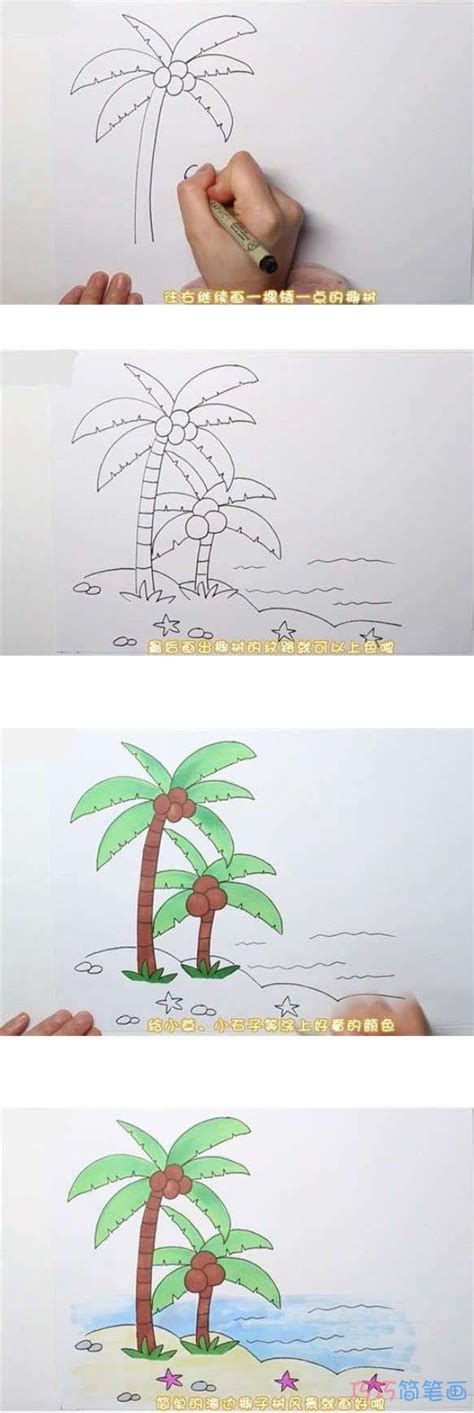 海滩椰子树怎么画涂色简单步骤教程 - 巧巧简笔画