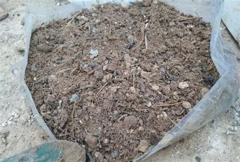 没农家肥种菜？自制堆肥：选可腐化植物搭配疏松泥土