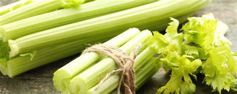 吃什么蔬菜降血压效果最好 哪些蔬菜可以降血压_知秀网