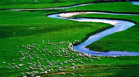 2021锡林郭勒，以草原类型完整而著称于世，每当盛夏来临，风光迷人的乌珠穆沁草甸草原是一片绿色的海洋_锡林郭勒草原-评论-去哪儿攻略