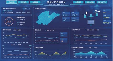2020年中国海鲜水产行业分析报告-市场深度分析与发展趋势研究_观研报告网