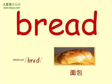 单词bread