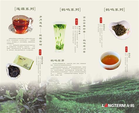 淡雅绿色杂志风禅茶一味产品介绍报告PPT模板-PPT鱼模板网