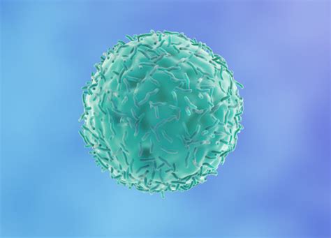 为什么T细胞会不断诱发自身免疫却会在面对癌症时耗竭？_医学界-助力医生临床决策和职业成长