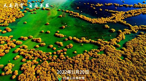 2024红崖山水库-旅游攻略-门票-地址-问答-游记点评，民勤旅游旅游景点推荐-去哪儿攻略