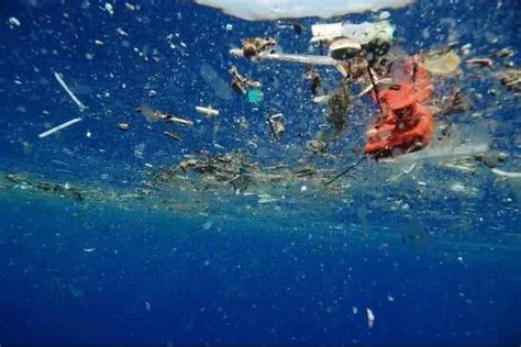 每年800万吨海洋垃圾，你生产了多少？_凤凰公益