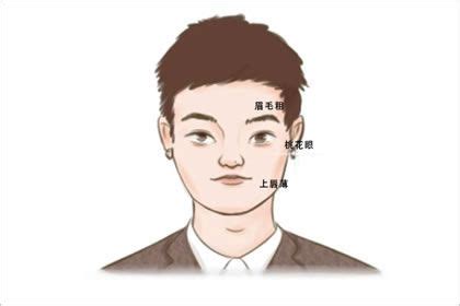 解析搜狐创始人张朝阳的顽童人生……|张朝阳|微博|博士_新浪新闻