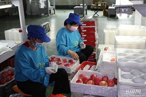 美国水果包装企业H.H.Dobbins借助陶朗分选技术，提高苹果的品质 - 陶朗