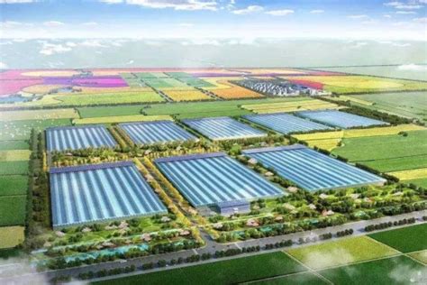 农业园规划效果图案例_成都文锦空间装饰设计有限公司