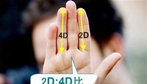 你的食指和无名指哪个更长？对照一下，你会发现三个秘密_研究_长度_手指