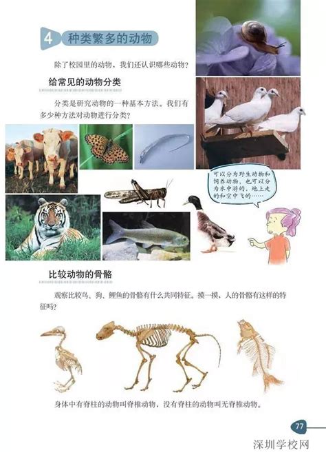 湖南少年儿童出版社英语|常见动物的英文名称