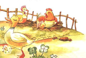 鸡妈妈和小鸭子 - 益智故事 - 故事365