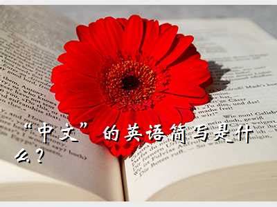 中文版英语,“中文”的英语简写是什么？ - 考卷网