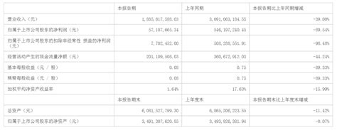 覆铜板产品量价齐跌，金安国纪H1营收同比降39%