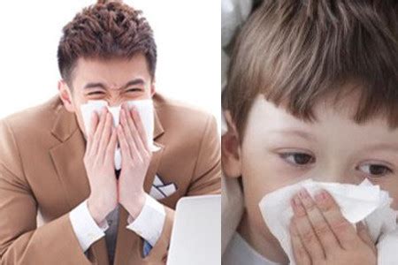 感冒时为什么鼻子只有一边通气，另一边堵住？总有一个鼻孔在偷懒|鼻孔|鼻涕|感冒_新浪新闻