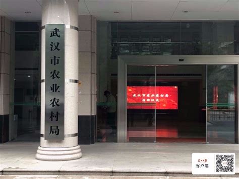 武汉市东湖新技术开发区关东街龙城社区卫生服务中心