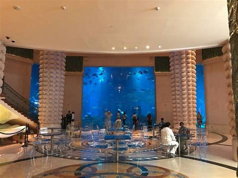 三亚亚特兰蒂斯酒店 Atlantis Sanya – 爱岛人 海岛旅行专家