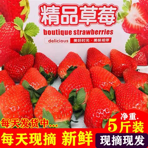 丹东草莓99新鲜东北红颜九九牛奶大草莓东港奶油草莓3斤水果包邮_虎窝淘