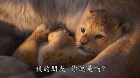 狮子王 2019 普通话版-更新更全更受欢迎的影视网站-在线观看