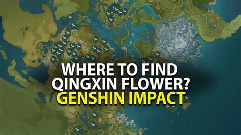 Genshin Impact: Qingxin Flower Farming Guide