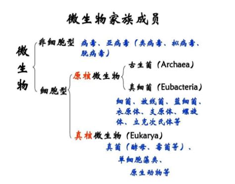 六界是哪六界，生物学中六界分别是什么(以植物界和动物界为主) - 大喜事生活