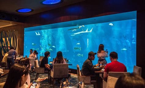 海洋餐厅设计与建造-上海艺海园景观工程有限公司