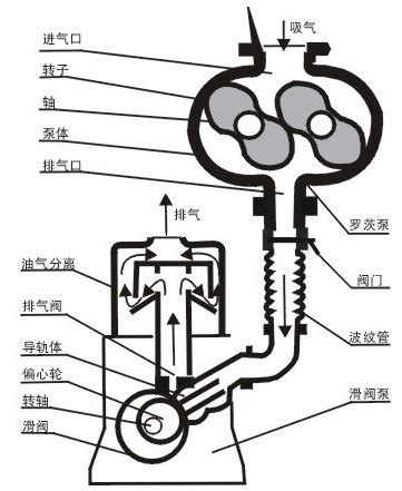 罗茨真空泵的工作原理-上海飞鲁真空泵厂有限公司