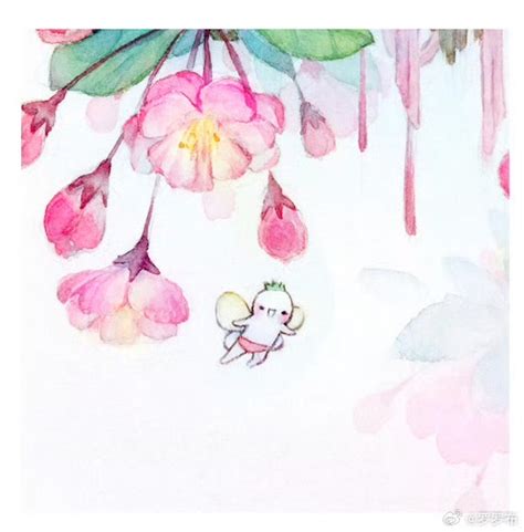 罗罗布图片