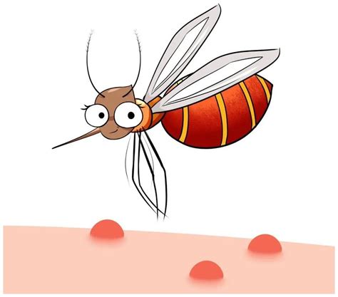 真实各种虫子咬包块图片 别忽视12种蚊虫叮咬图片症状-七乐剧
