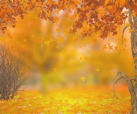 家乡的秋天作文开头怎么写 探寻家乡秋色的美丽之处-四得网