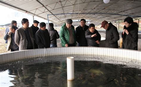 湖南省畜牧水产局局长袁延文陪同吉尔吉斯斯坦代表团考察水产养殖业